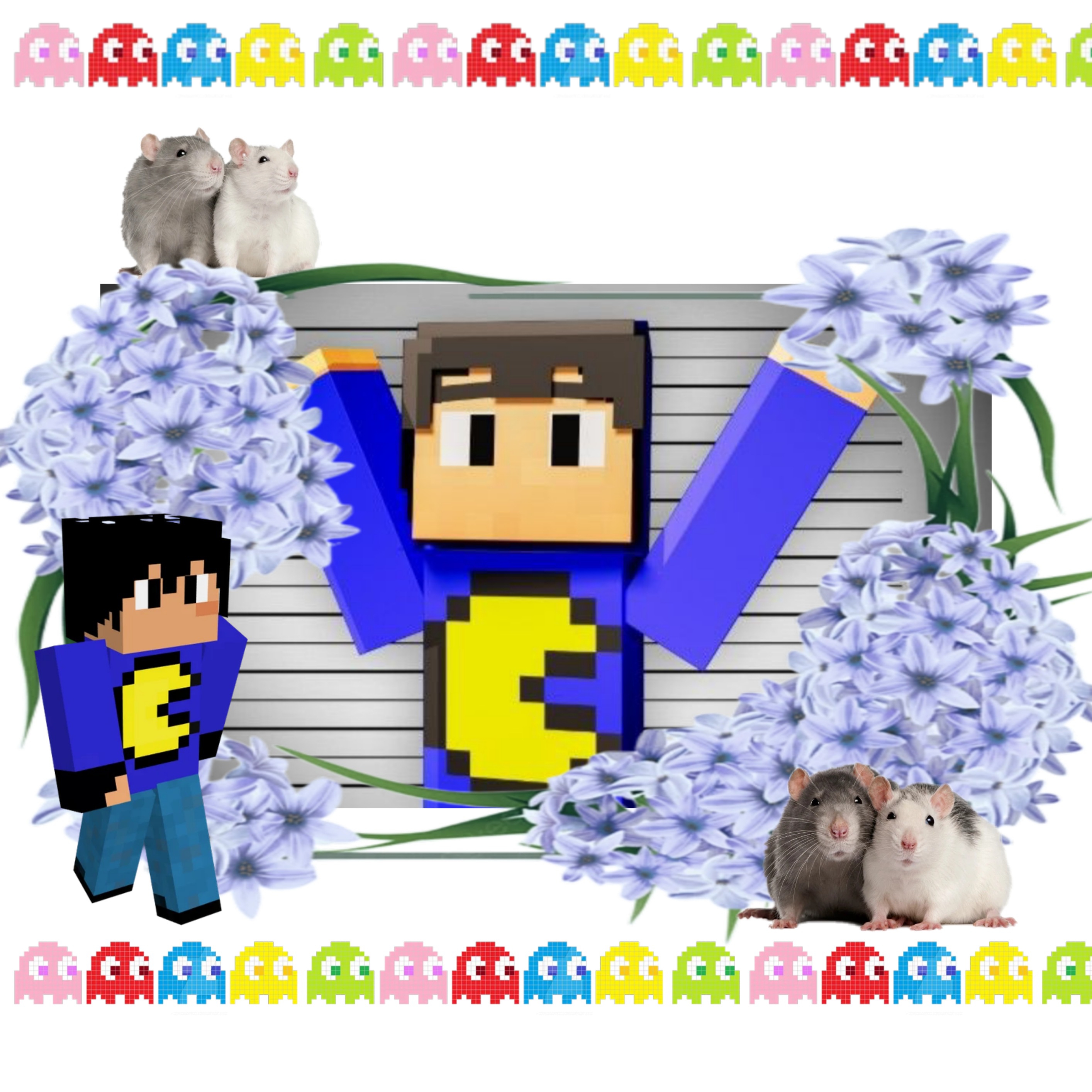 Capa do Bolso do Pequi
